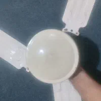 پنکه سقفی|پنکه و تصفیه‌کنندهٔ هوا|شوشتر, |دیوار