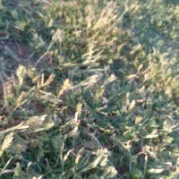 نظافت منزل پارکینگ وراپله باقیمت مناسب