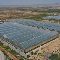 فروش گلخانه میوه های استوایی در خراسان شمالی