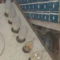 لامپ های شمعی ۷ وات کریستالی نمانور آسیاکرج|لامپ و چراغ|کرج, شهرک فهمیده|دیوار