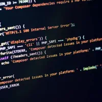 استخدام برنامه نویس