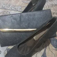 ست کیف کفش مجلسی نقره ای