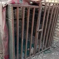 قفس  مقاوم عالی برای حیوانات اهلی و...|لوازم جانبی حیوانات|مرند, |دیوار