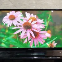 تلویزیون ۵۰ اینچ سامسونگ پلاسما دیجیتال سرخود|تلویزیون و پروژکتور|ساوه, |دیوار