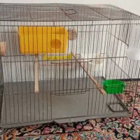 قفس پرنده وعروس هلندی|لوازم جانبی حیوانات|کرمان, |دیوار