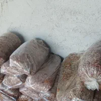 فروش خرما  2تن بار جدید|خوردنی و آشامیدنی|زرین دشت (فارس), |دیوار