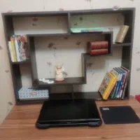 شلف وقفسه کتاب دیواری