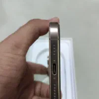 16 promax
