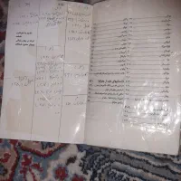 فقط مخصوص جدول بازها|کلکسیون و سرگرمی|اهواز, زندوکیلی|دیوار
