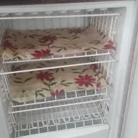 یخچال|یخچال و فریزر|گمیشان, |دیوار