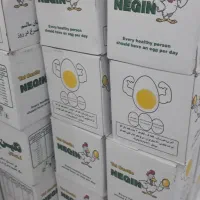 تخم مرغ ۱۲/۵ نگین و هاشم زاده