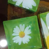 ظرف ارکوپال فرانسه