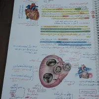 کتاب زیست دهم یازدهم دوازدهم|کتاب و مجله آموزشی|قم, شهرک امام حسین|دیوار