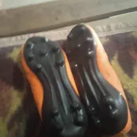 کفش|کیف، کفش، کمربند|شوشتر, |دیوار