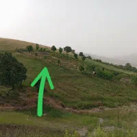 فروش باغ