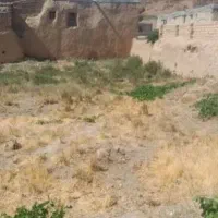 فروش زمین و باغچه به قیمت توافقی