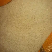 انواع برنج ایرانی‌هاشمی شیرودی خوشپخت