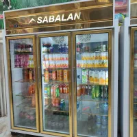 یخجال ایستاده سه در