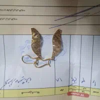 انگشتر طلا گوشواره طلا پلاک طلا قیمت تابلو|جواهرات|مشهد, کوی سیدی|دیوار