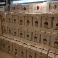 انواع آبگرمکن برقی و گازی اطمینان دیواری و مخزنی|آبگرمکن، پکیج، شوفاژ|اصفهان, مولوی|دیوار