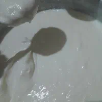 ماست گوسفندی اورگانیک