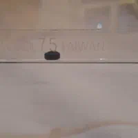 محافظ صفحه تلویزیون ۷۵ اینچ