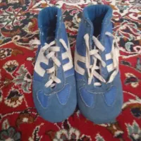 کفش کشتی