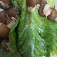 حلزون|خزنده|اسلام‌شهر, شهرک قائمیه|دیوار