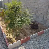 227 متر باغ و باغچه منطقه سرسبز و دنج|فروش زمین و ملک کلنگی|شهریار, اصیل آباد|دیوار