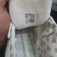 کفش سایز 41|کیف، کفش، کمربند|دوگنبدان, |دیوار