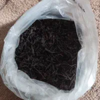 چای لاهیجان