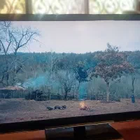 تلویزیون ۴۲ اینچ پاناسونیک