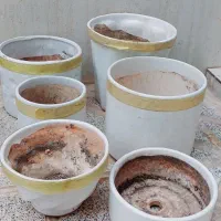 گلدان زیر گلدانی و جزیره گلدون