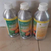 کندو ک