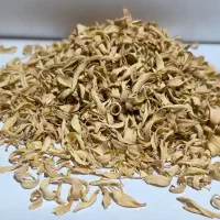 فروش بهار نارنج