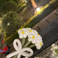 برای اولین بار در  مازندران|صنایع دستی و سایر لوازم تزئینی|عباس‌آباد, |دیوار