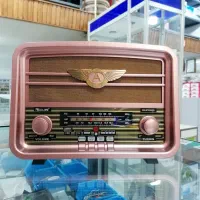 رادیو puxing فلش خور