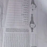 الگو کت شلوار|لباس|شوشتر, |دیوار