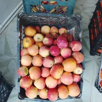 سیب درختی شیرین|خوردنی و آشامیدنی|یزد, |دیوار
