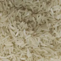 برنج فجر درجه یک