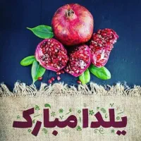 مدارک پیدا شده بنام مجید لکی محله