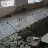 کاشیکاری و سرامیک کاری-نما وموزایک