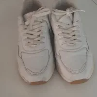 کفش کتونی نو زنانه (معاوضه و فروش)