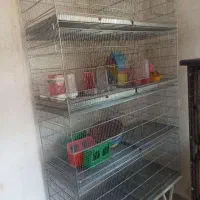 قفس 8خان درجه یک