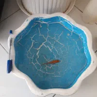 حوض دونه ای ۲۵۰ هزار تومان  سالم