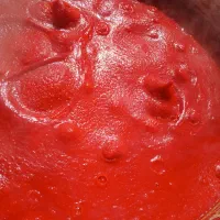 رب خانگی تازه آبغوره شیره. سیر ترشی  لپه نخود سیاه|خوردنی و آشامیدنی|قزوین, |دیوار
