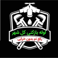 لوله بازکنی*45%تخفیف*متخصص رفع نمزدگی بدون خرابی