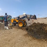 تهیه و حمل کود گاوی مرودشت و حومه