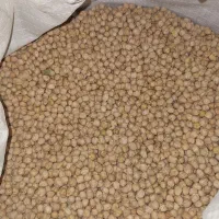 نخود  درشت زود پز