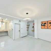 64متر-2خواب-دیزاین-جذاب-غرق-نور-سند-تک-برگ